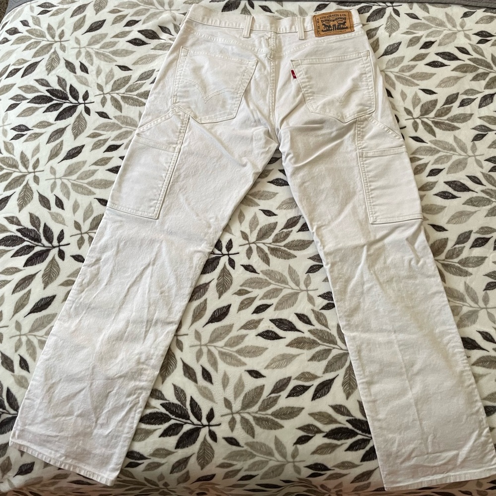 29W30L Levi’s Carpenter Pant